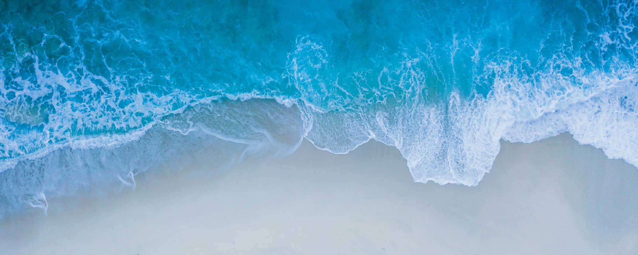 Dynamics 365 Commerce: AI innovations with Copilot