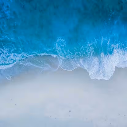 Dynamics 365 Commerce: AI innovations with Copilot