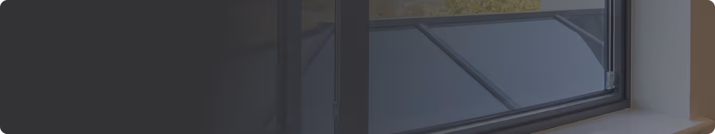 Modern window with black frame overlooking a yard with greenery.