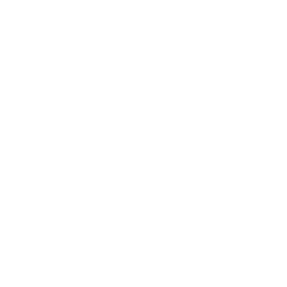 Data icon