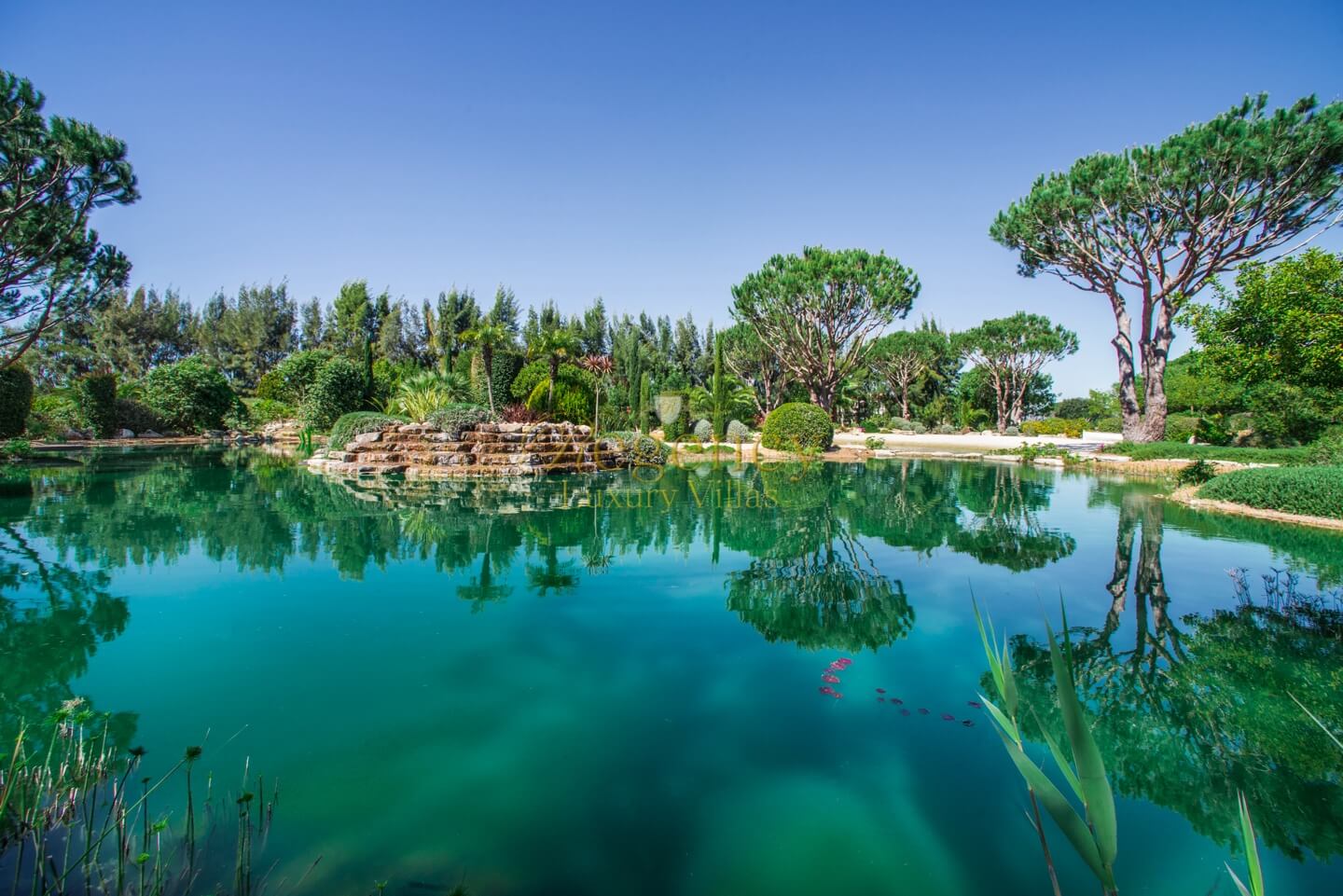 Maison A Louer A Quinta Do Lago