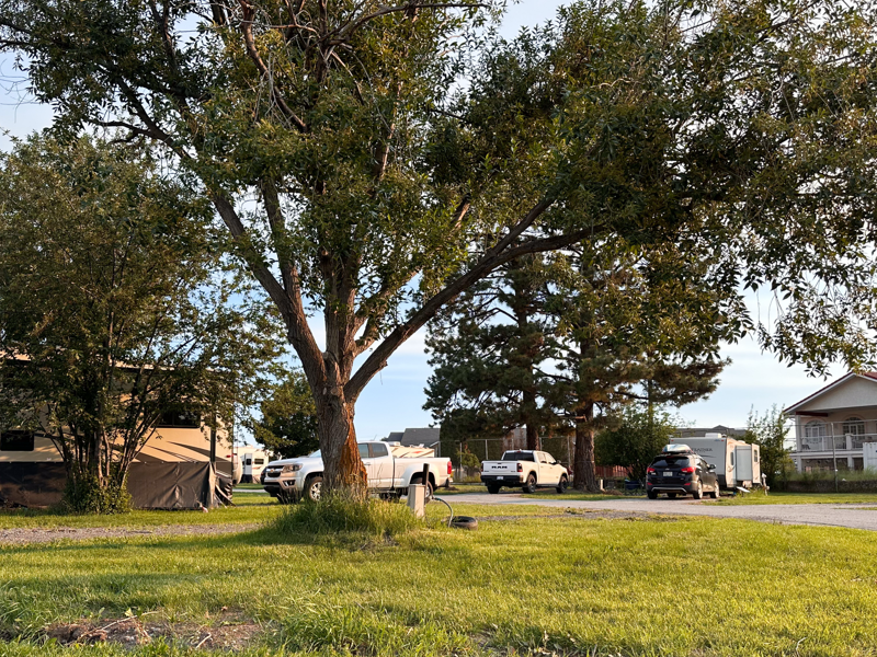 RV park with several parked trucks, RVs, a large green tree, and grassy areas during daylight.