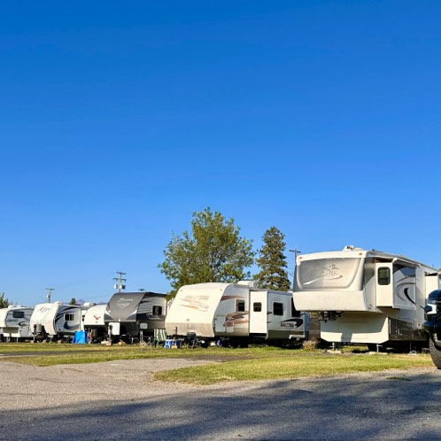 Row of parked RVs and camper trailers under a clear blue sky with trees in the background.