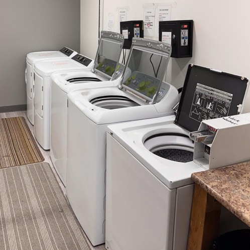 Laundry room showing three white washing machines and two dryers.