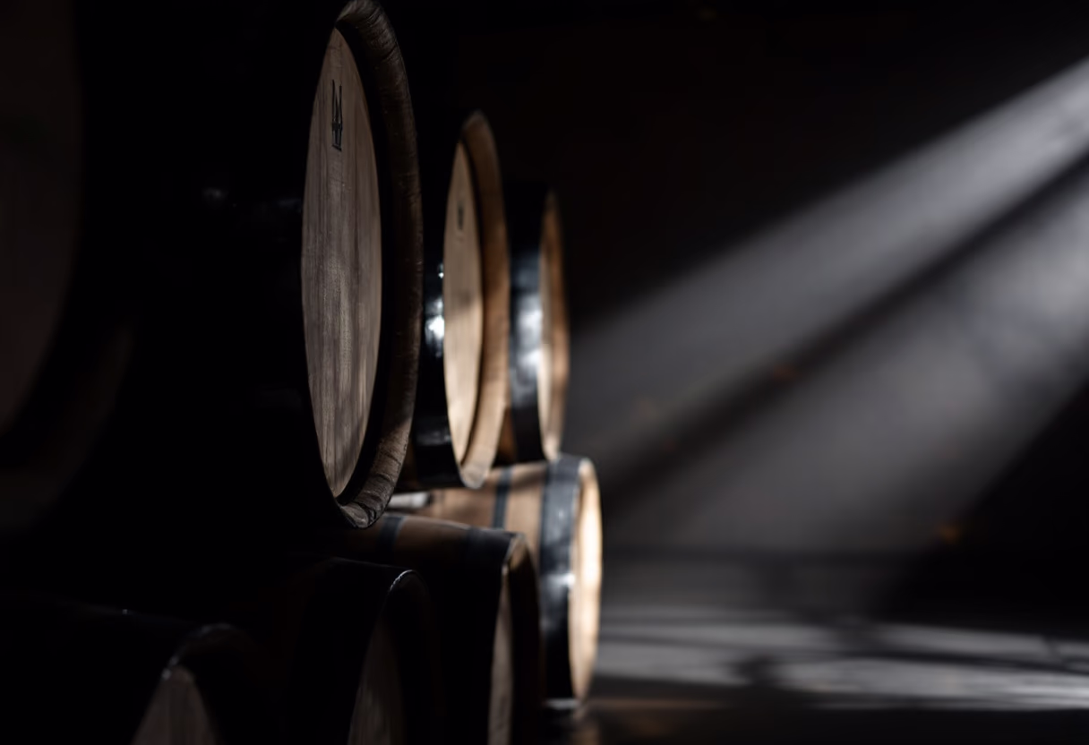 image of wine barrels for a winery