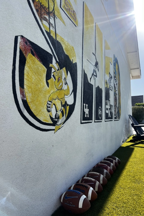 Header Image