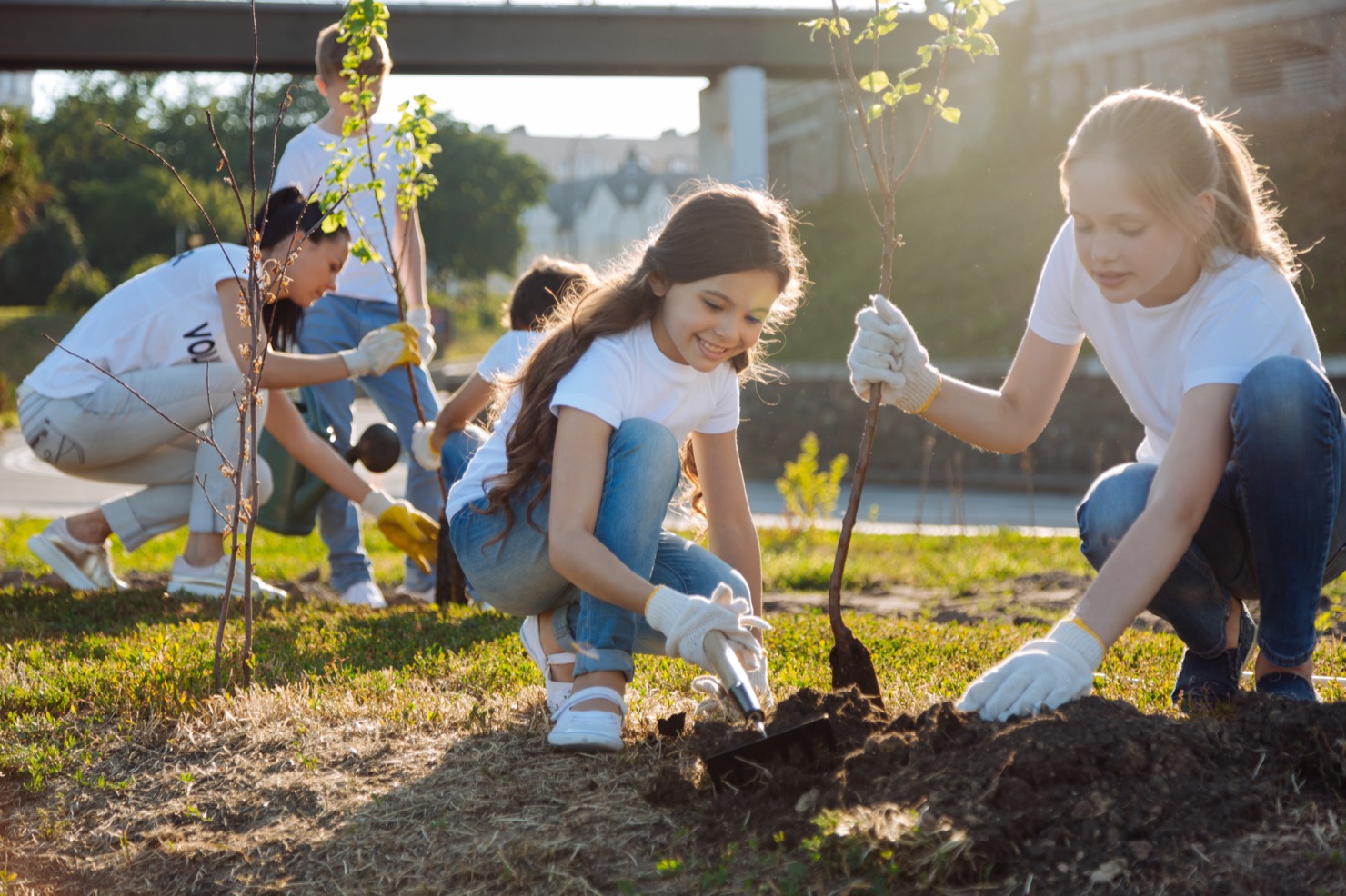 Group of children and adults planting young trees in a park under bright sunlight.