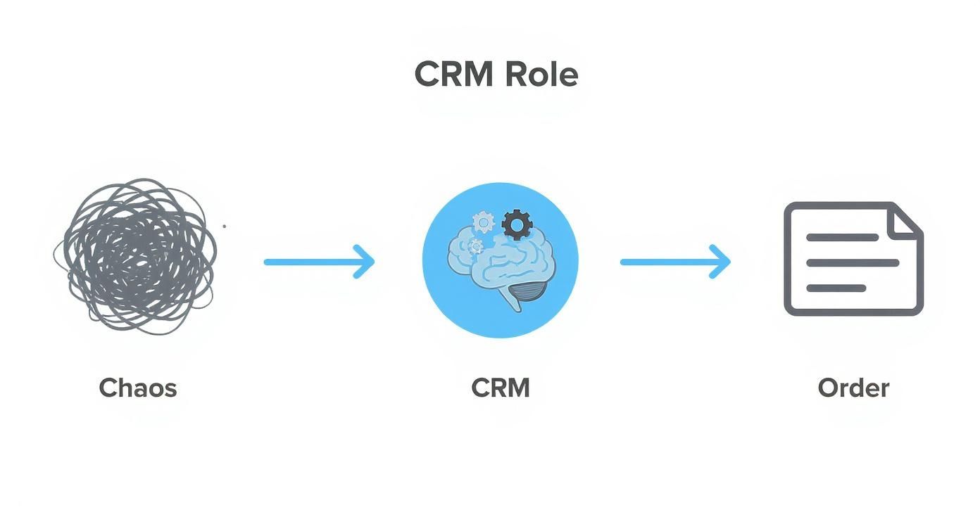 Infographic about crm and lead generation