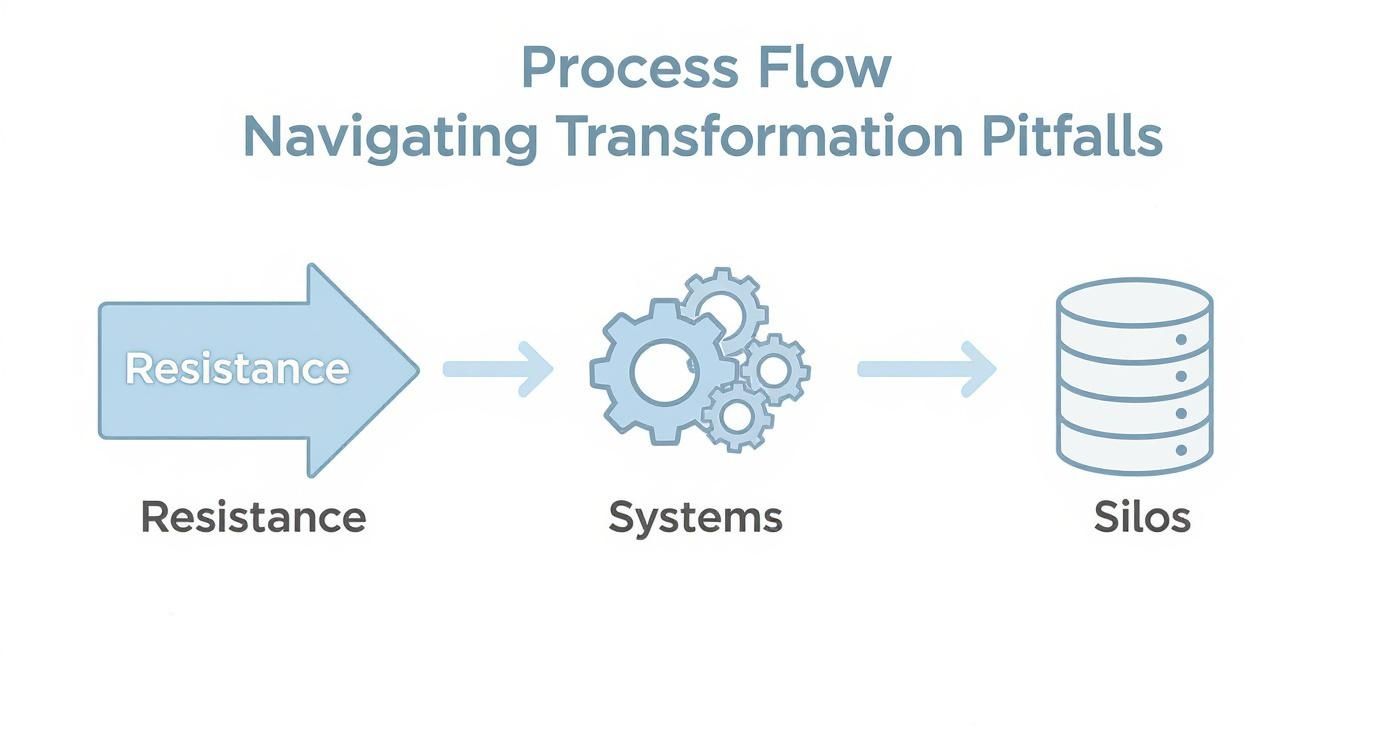 Infographic showing the process flow of navigating transformation pitfalls, with icons for resistance, systems, and silos.