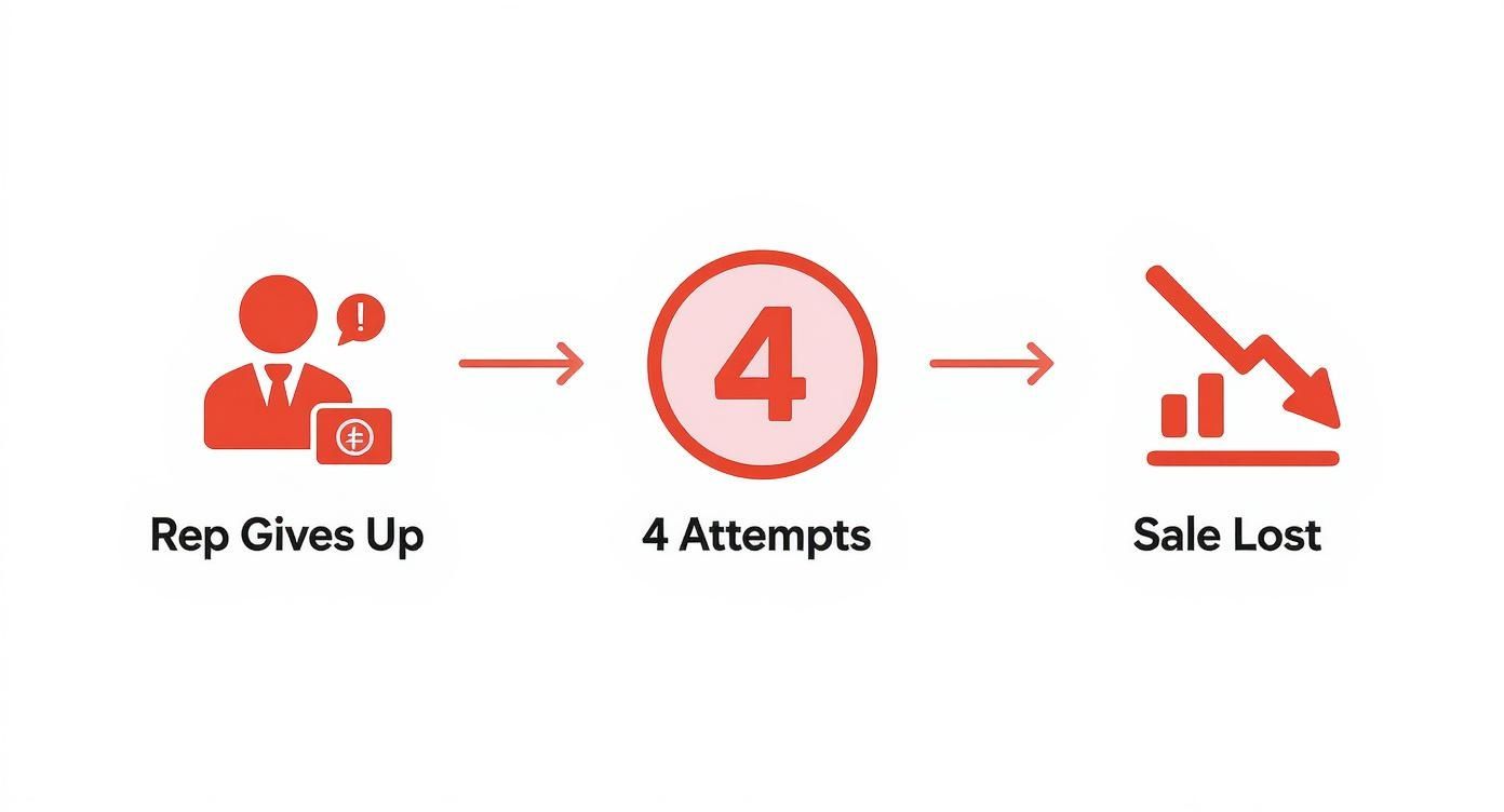 Infographic about following up on leads