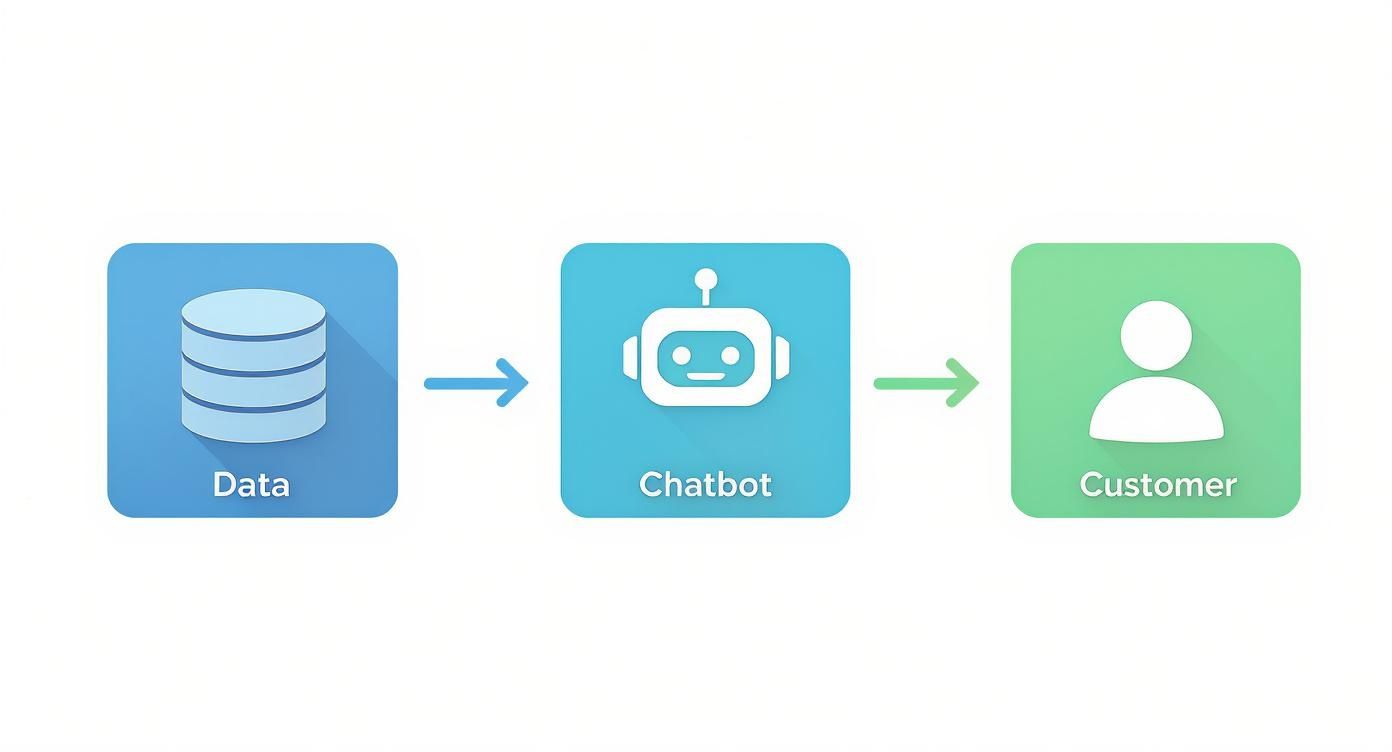 Infographic about chatbot for crm