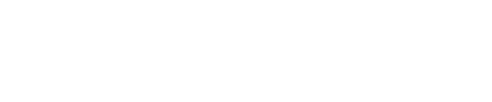 Edison Interactive Logo