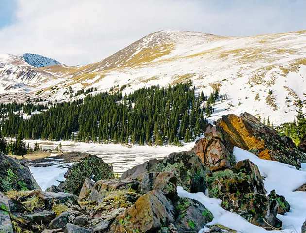 Snowy Colorado mountains with evergreen forests in the foreground
