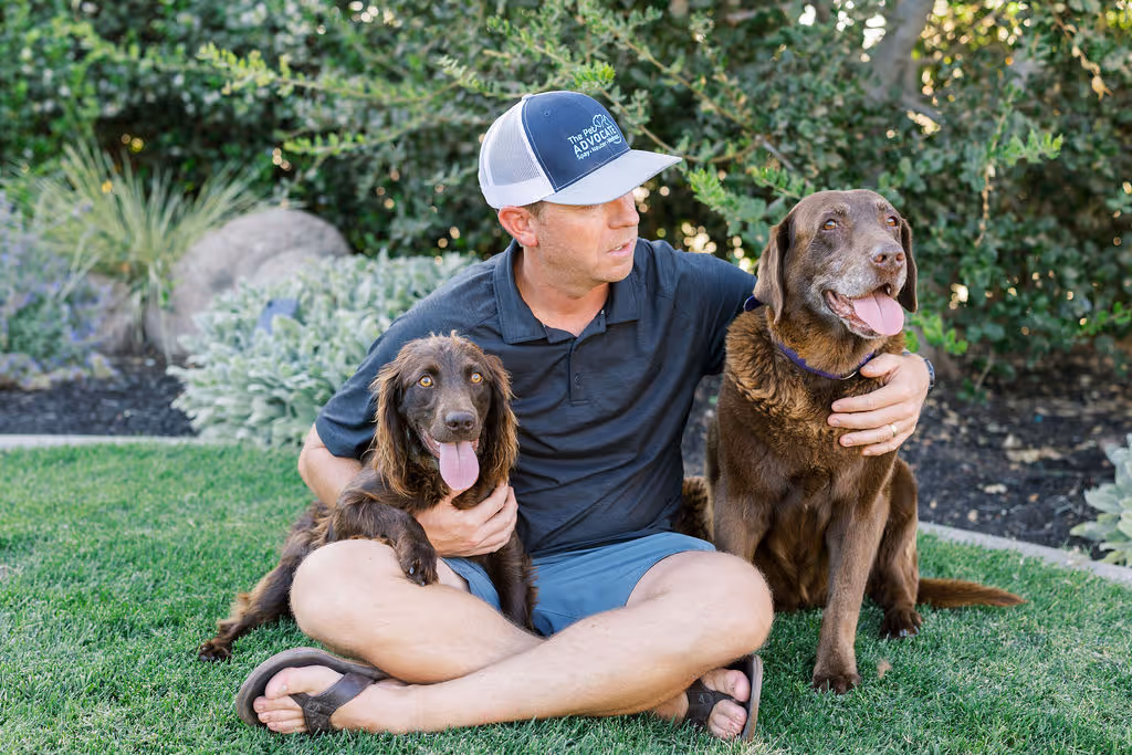 image of a vet assisting an animal