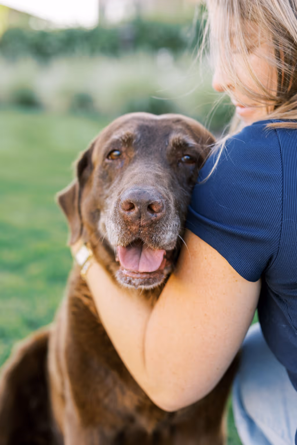 image of a veterinarian examining a dog