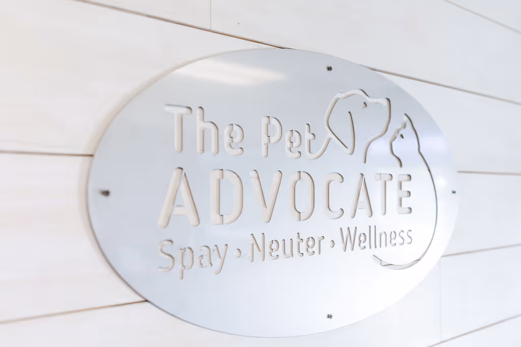 image of a veterinarian examining a dog