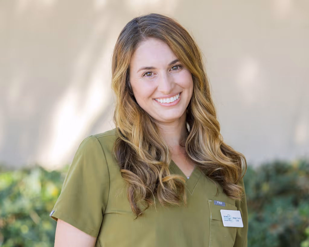 image of a vet assisting an animal