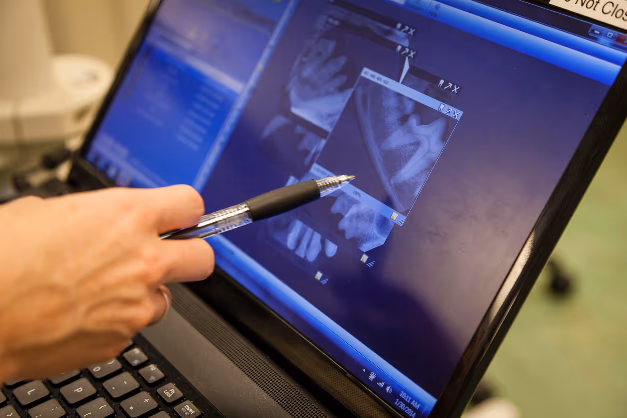 image of a vet assisting an animal