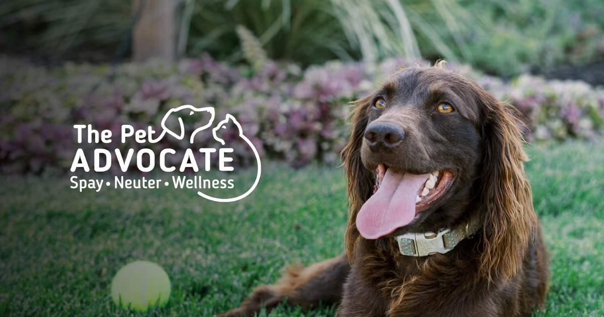 The Pet Advocate cover