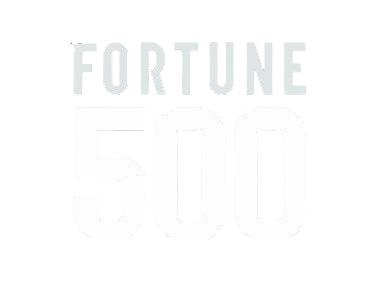 Image representing the Fortune 500