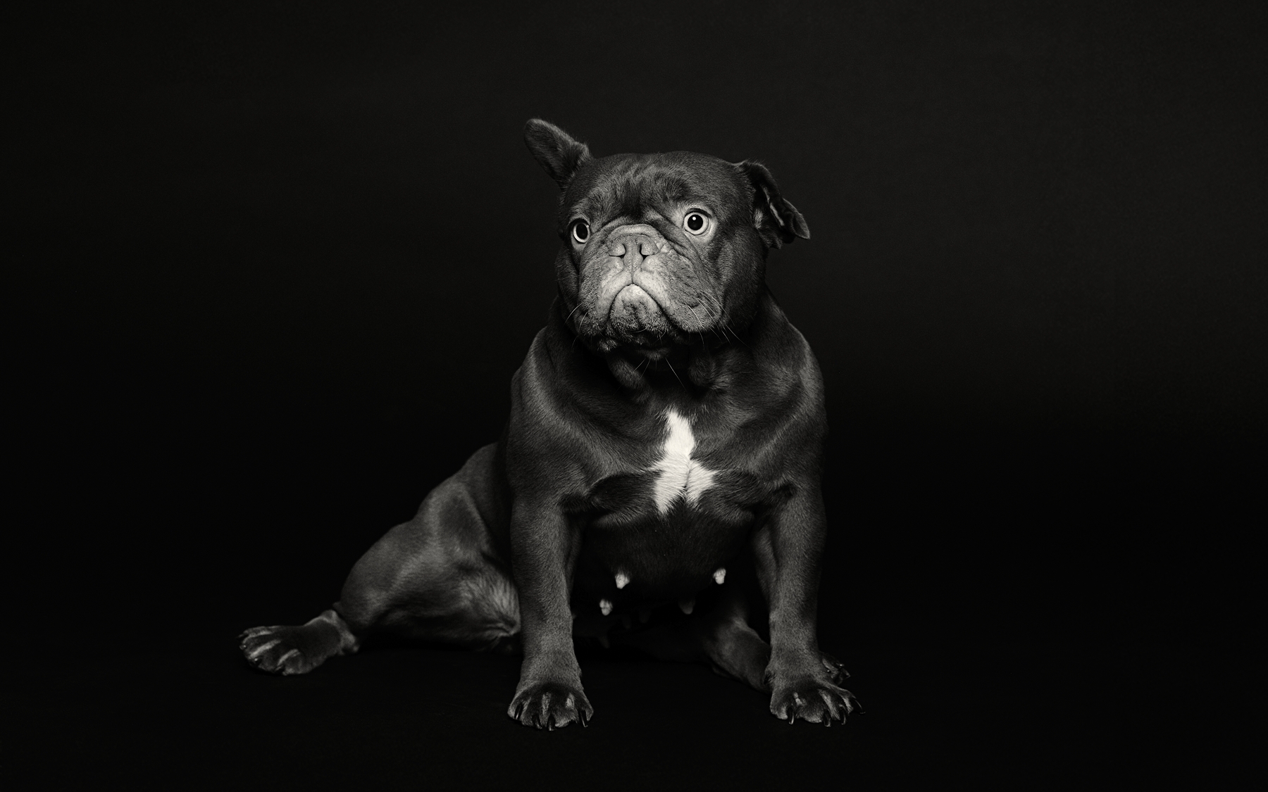 Charcoal/black backdrop with crisp studio key and optional rim light