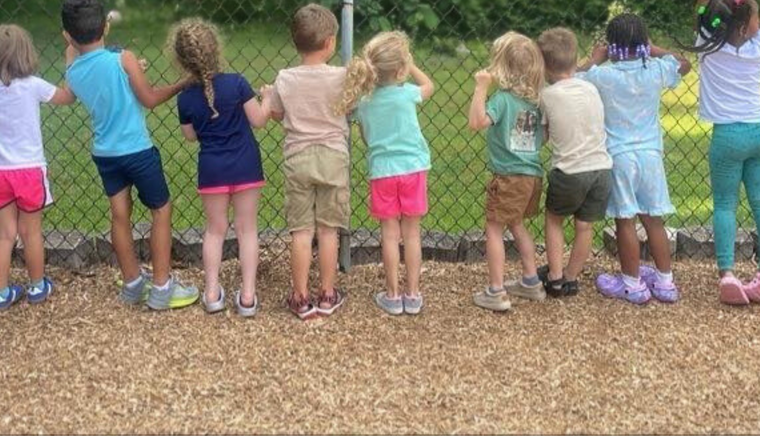 image of audience enjoying entertainment