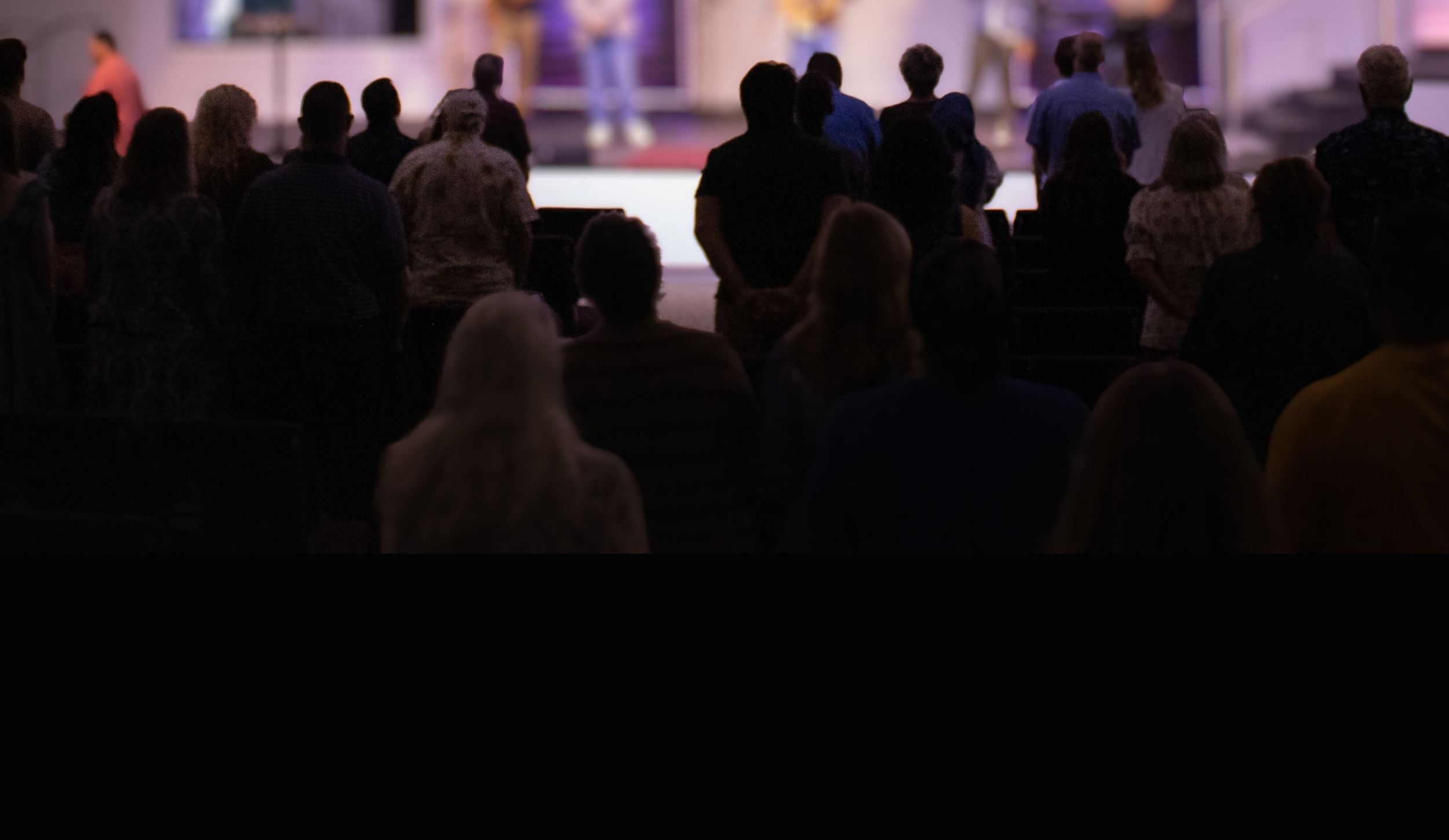 image of audience enjoying entertainment