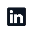 LinkedIn logo button.
