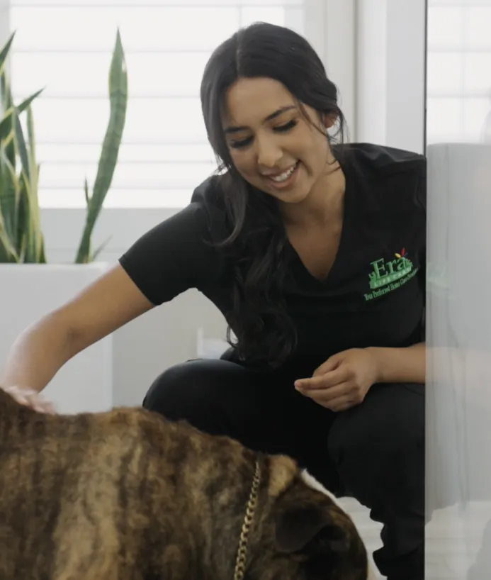 Caregiver feeding the family pet