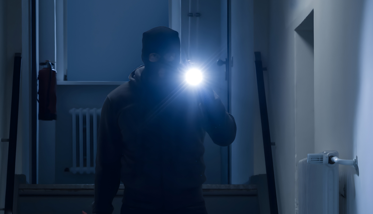 Intrusion Detection