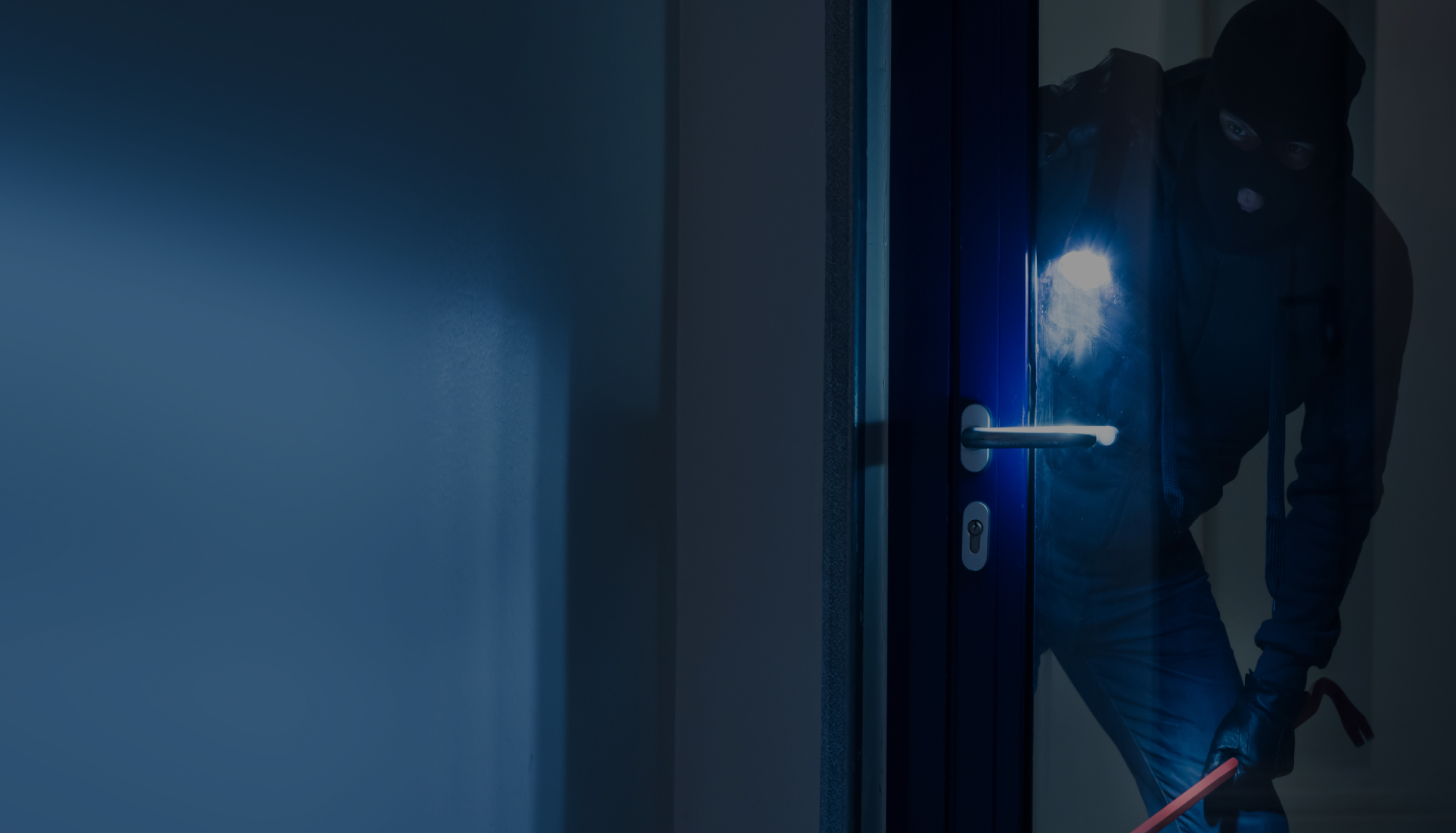 Commercial Intrusion Security