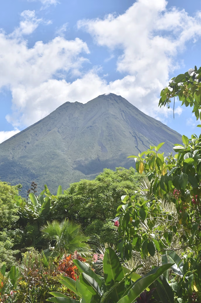 Exuberante vegetación tropical en primer plano con un imponente volcán verde bajo un cielo azul parcialmente nublado.
