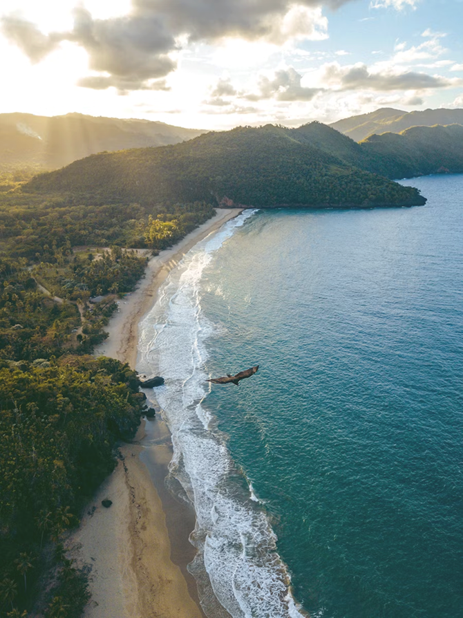 Aerial view of a coastline with a sandy beach, forested hills, and a bird flying over the waves under a partly cloudy sky during sunset.