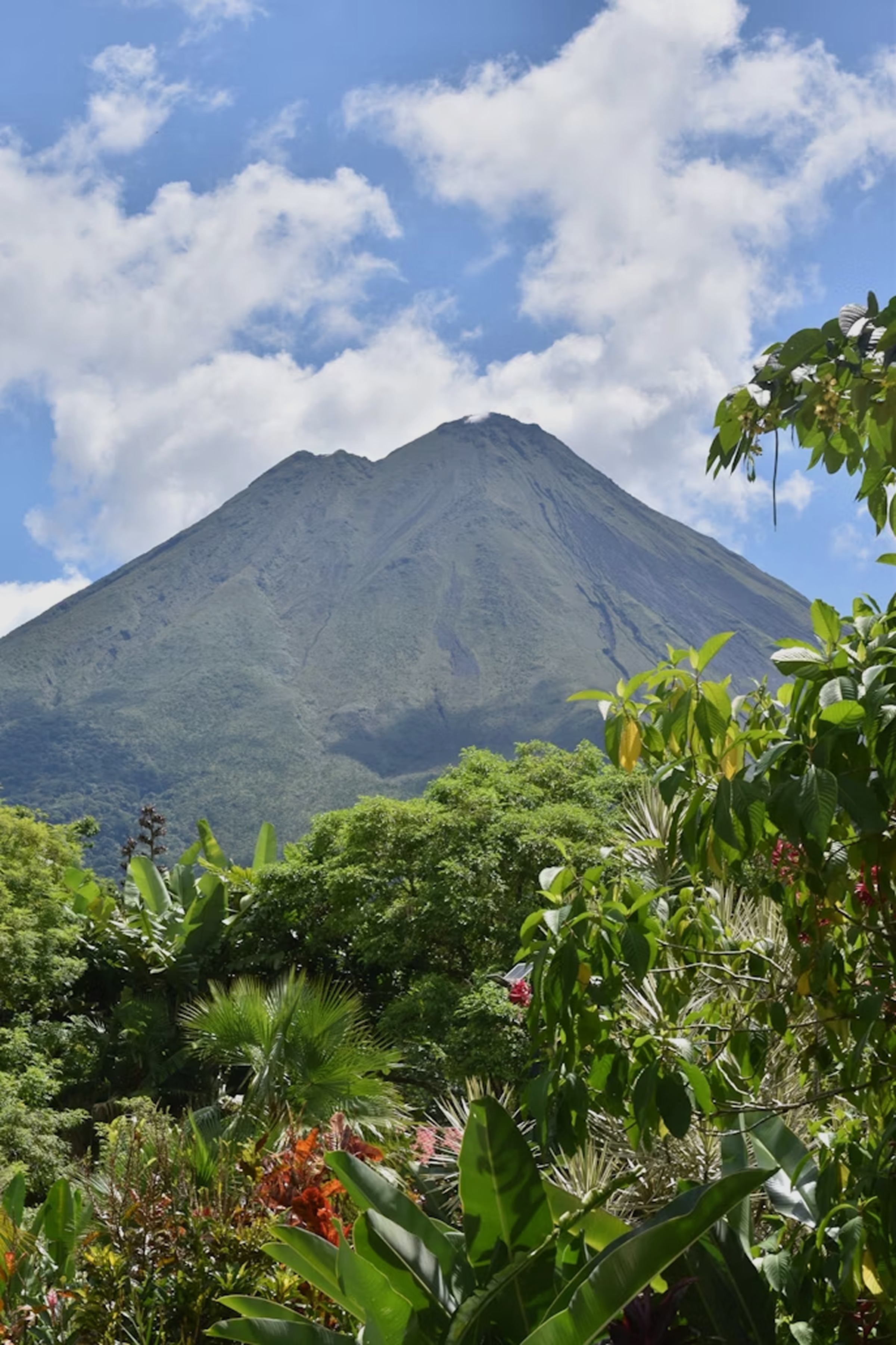 Lush green tropical foliage in the foreground with a large, steep volcano under a partly cloudy blue sky in the background.