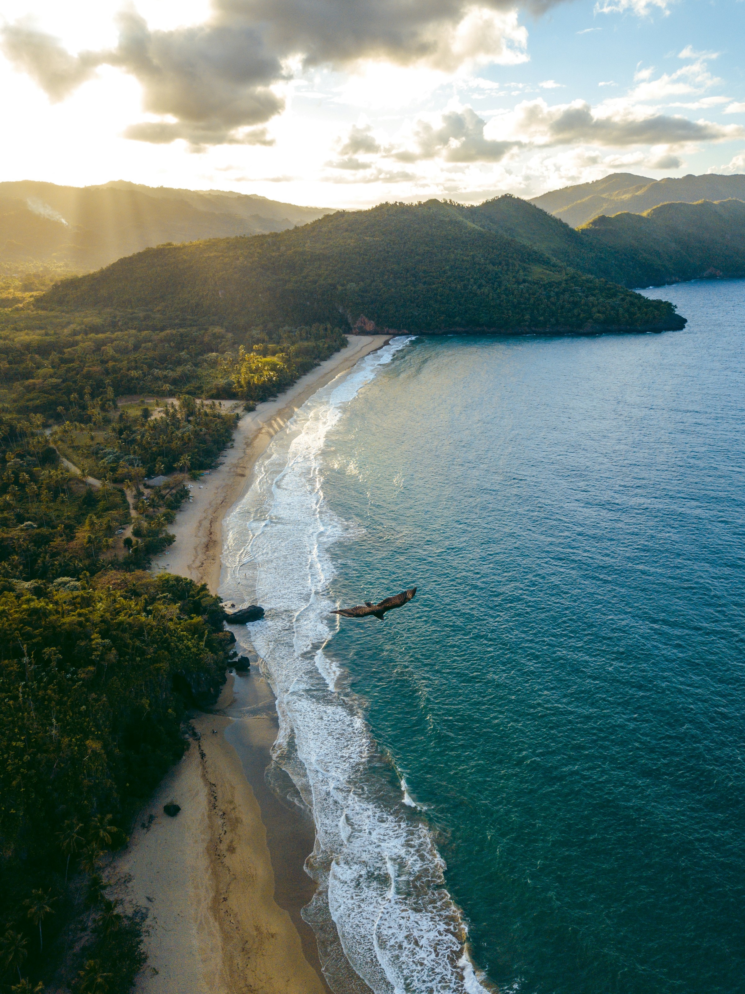 Aerial view of a sandy beach with waves, dense forest, hills, and an eagle soaring over the ocean under a partly cloudy sky with sunlight.