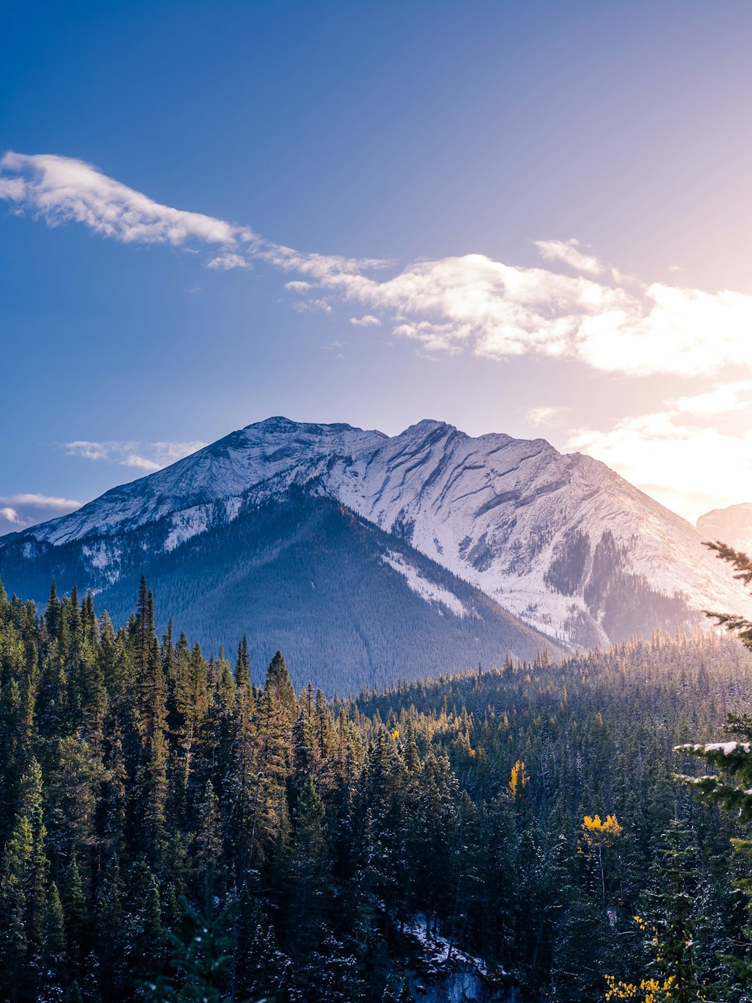 Snow-capped mountain rising above a dense evergreen forest under a blue sky with scattered clouds during sunrise.