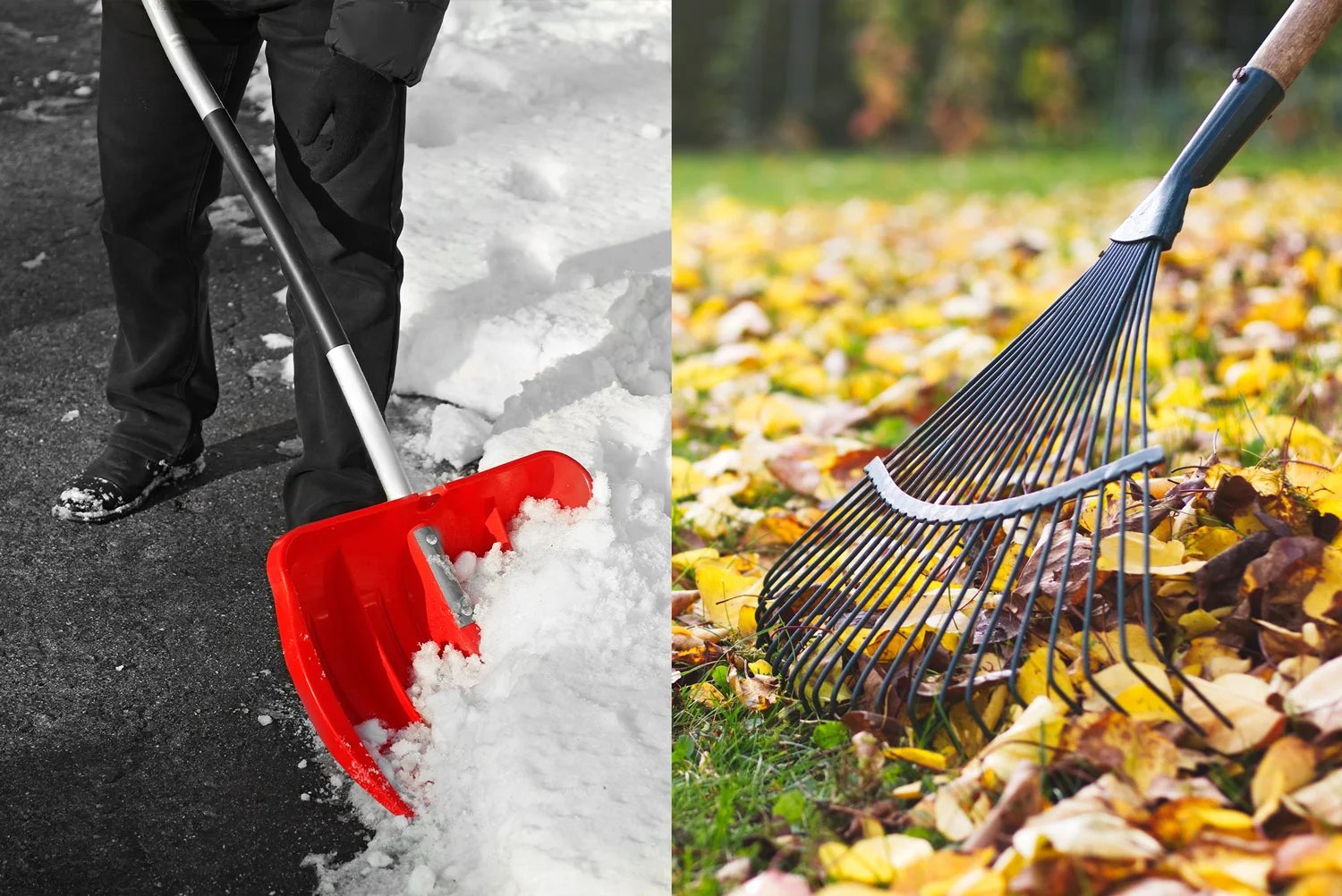 Collage showing Yardly’s fall leaf raking and winter snow shovelling services.