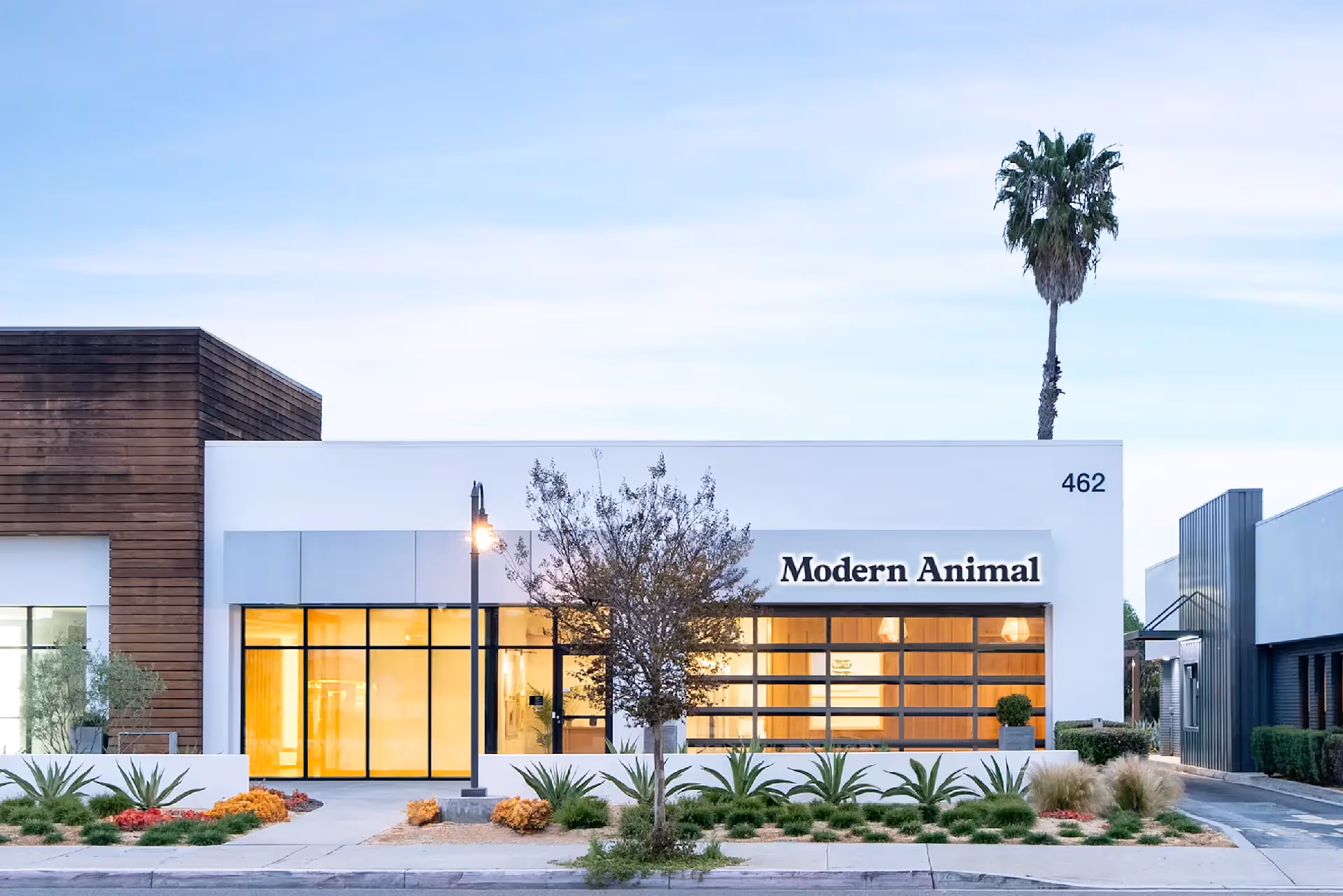 Modern Animal clinic building with a white facade, large windows glowing warm yellow from interior lights, landscaping with green plants and flowers, a single palm tree to the right, and the street number 462 displayed on the upper right corner.