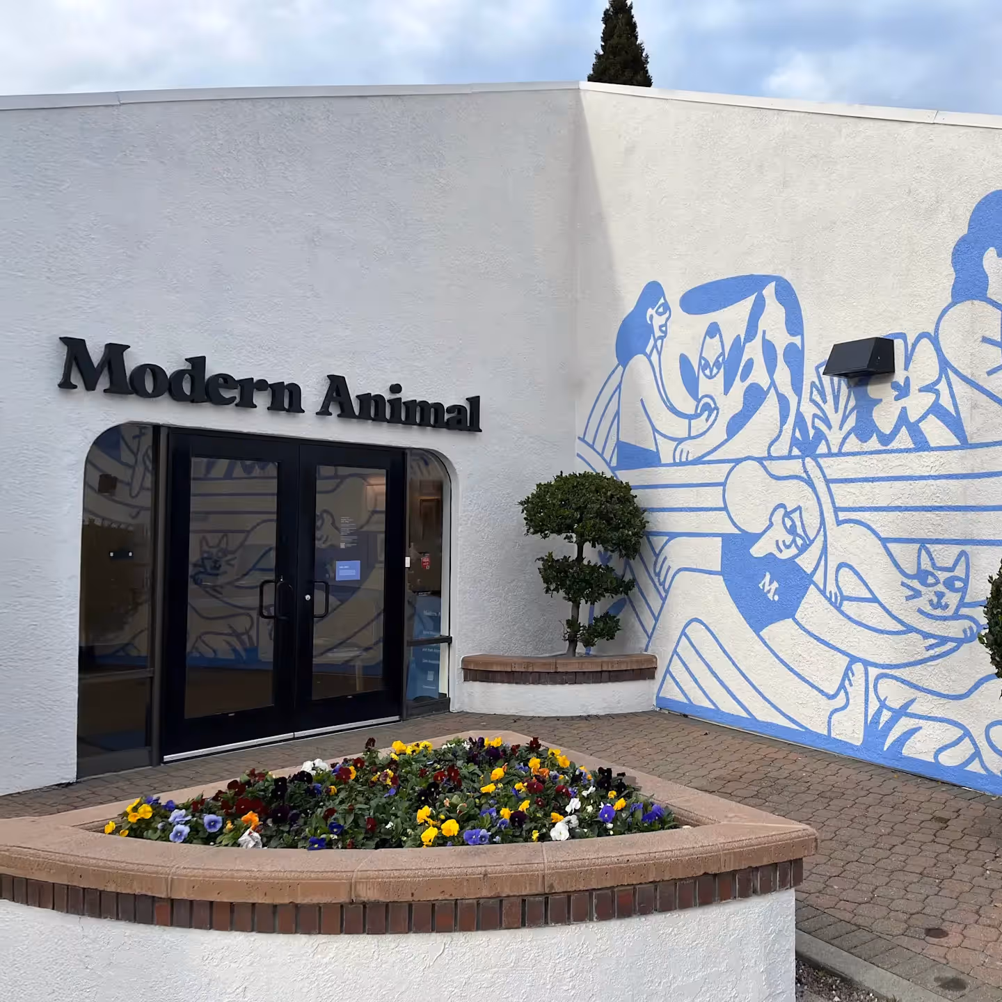 Exterior of a white building with black double doors and a sign that reads Modern Animal above the entrance, next to a large blue mural of stylized people and animals, with a flower bed in front containing colorful pansies.