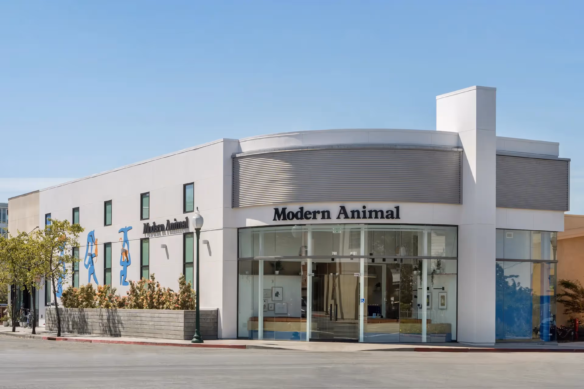Modern Animal veterinary clinic building with large glass entrance and grey exterior walls, situated on a street corner with trees and bushes along the side.