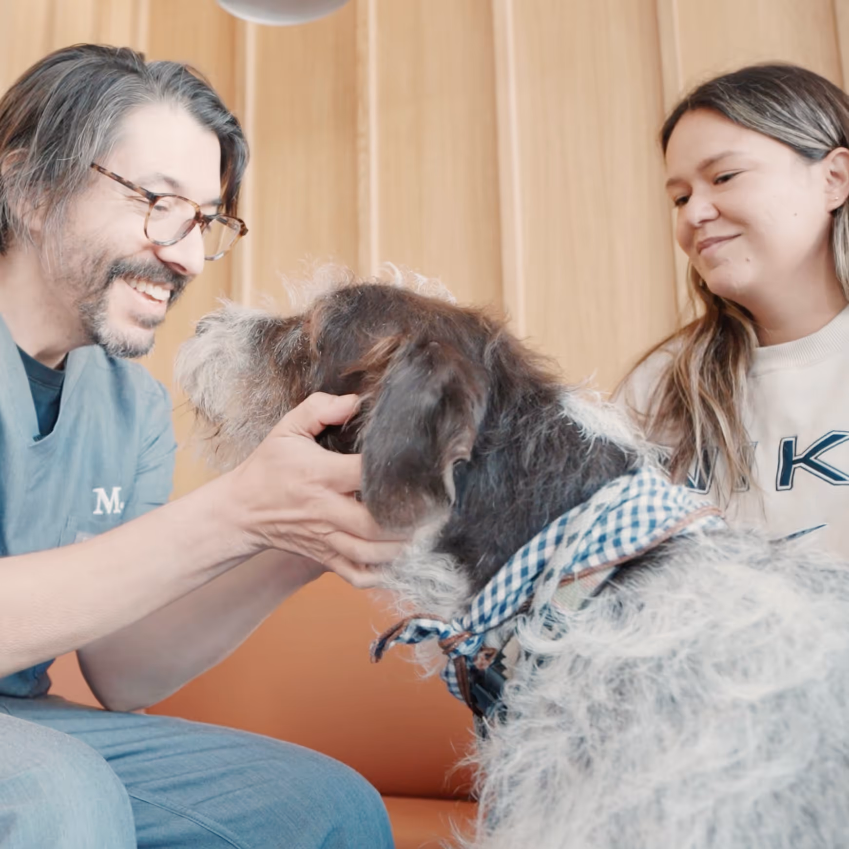 A Modern Animal vet examining a dog with its pet parent at the Glendale clinic