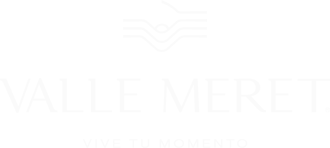 Valle Meret logo with slogan 'Vive tu momento' below a stylized design symbol.