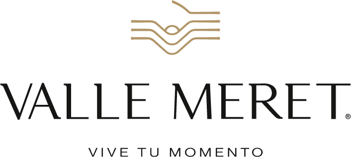 Valle Meret logo