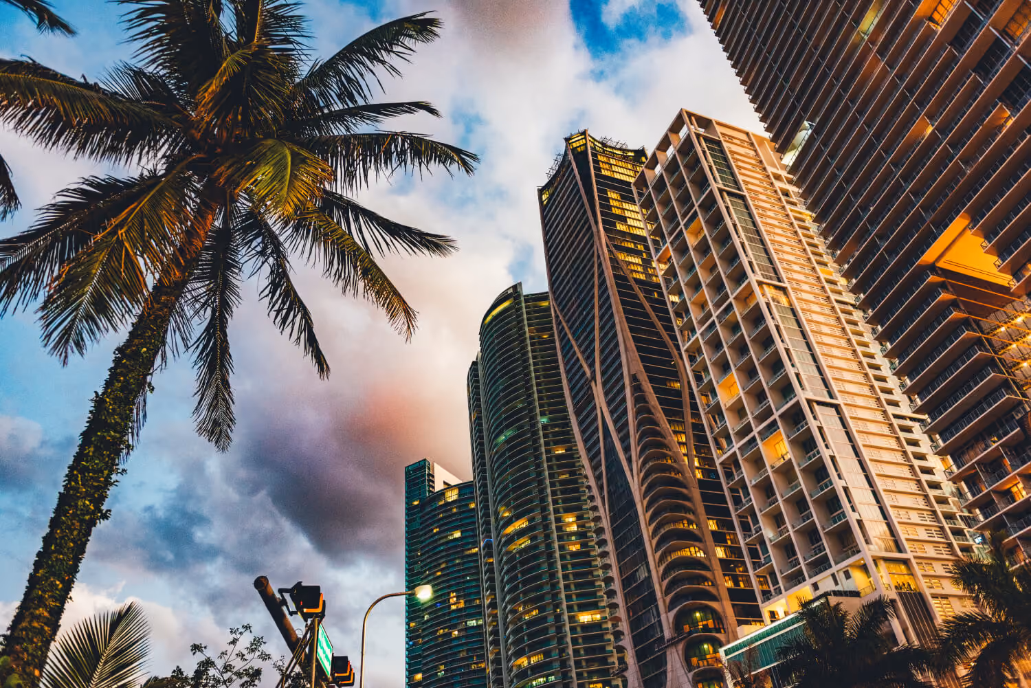 skyline of miami florida with skyscrapers and palm trees