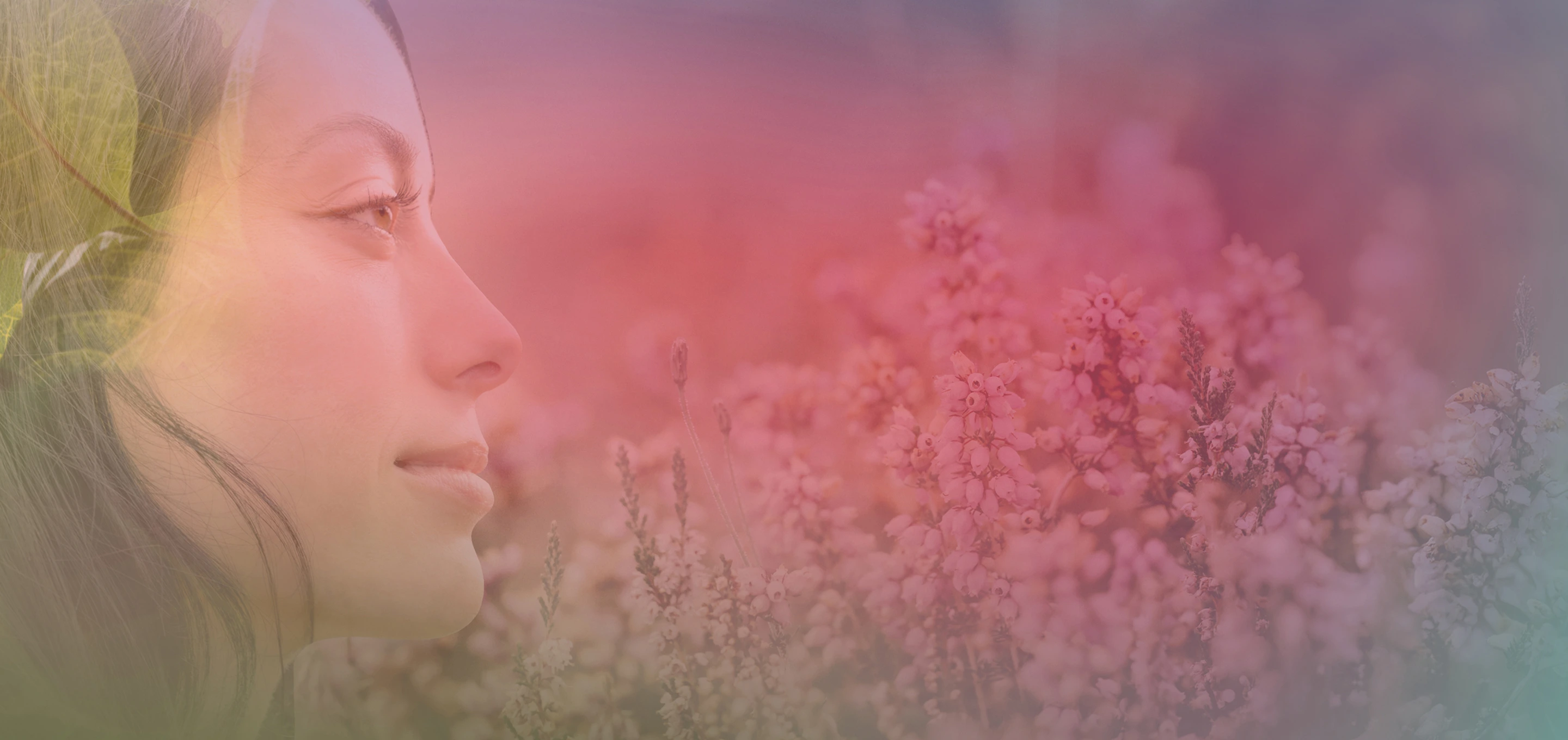 Clayre Sessoms Image Homepage Hero