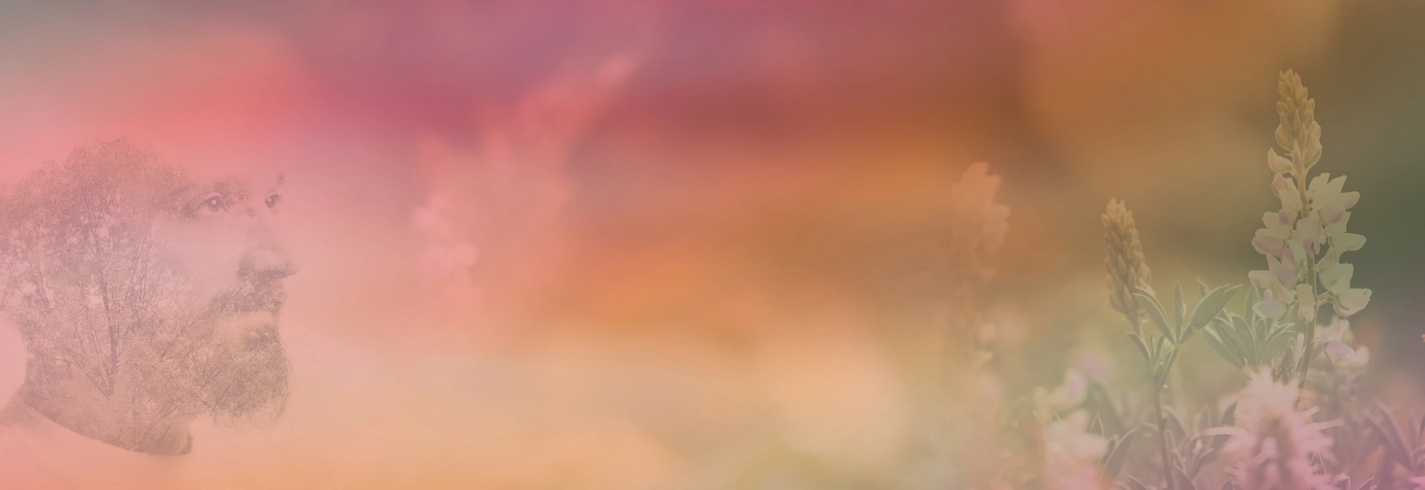 Clayre Sessoms Image Join us in something real