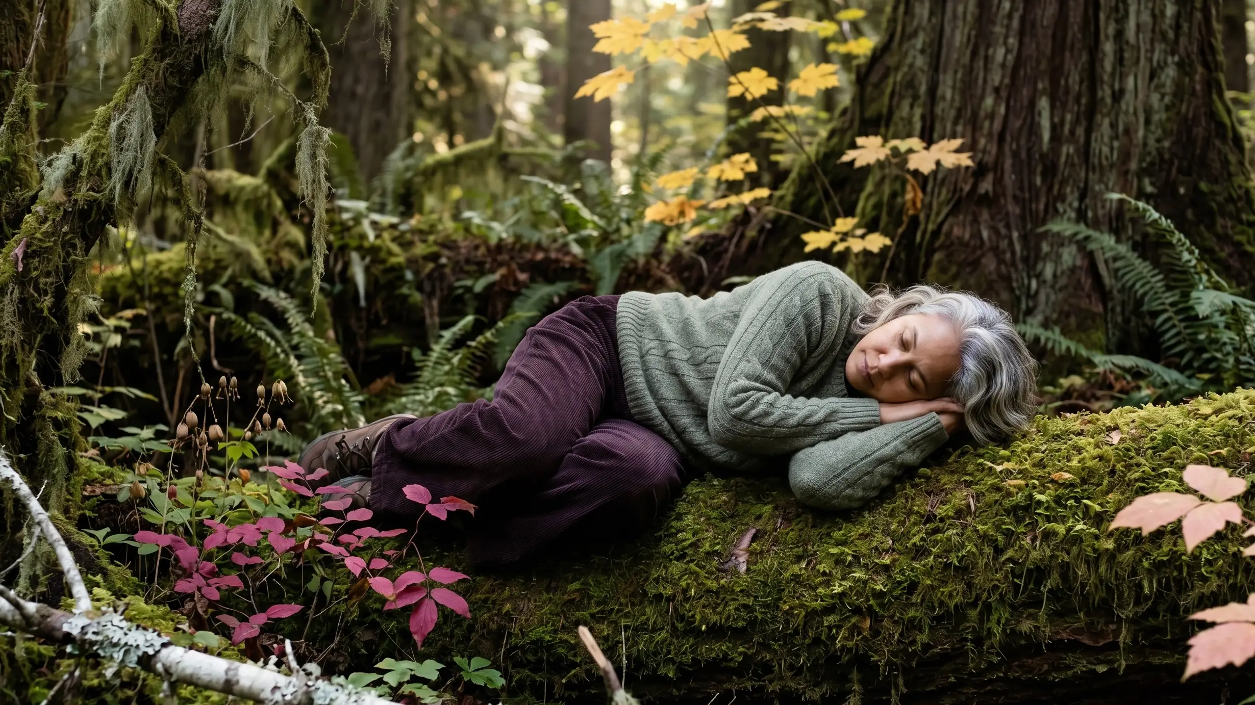 Adult resting on a fallen log in an old-growth forest in autumn BC | Therapist Blog | CSP