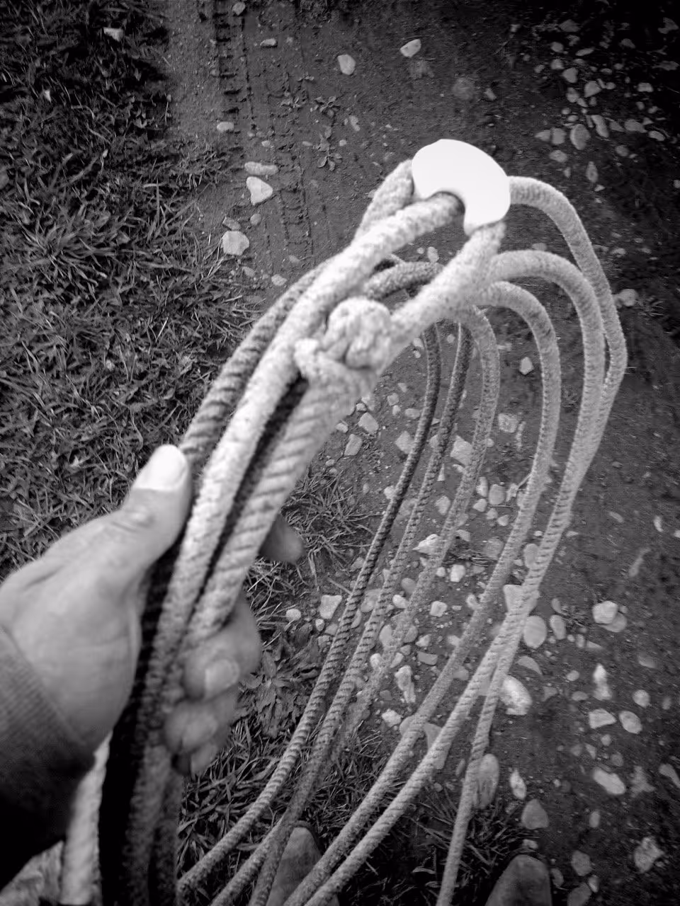Close-up of a hand holding several coiled ropes with a metal loop, standing on rocky ground with grass nearby.