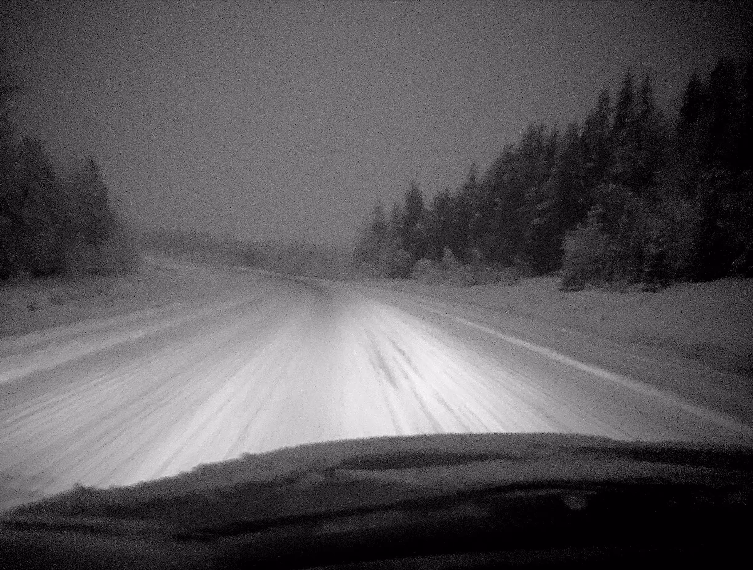View of a snow-covered road at night with headlights illuminating the path, surrounded by snow-covered trees.