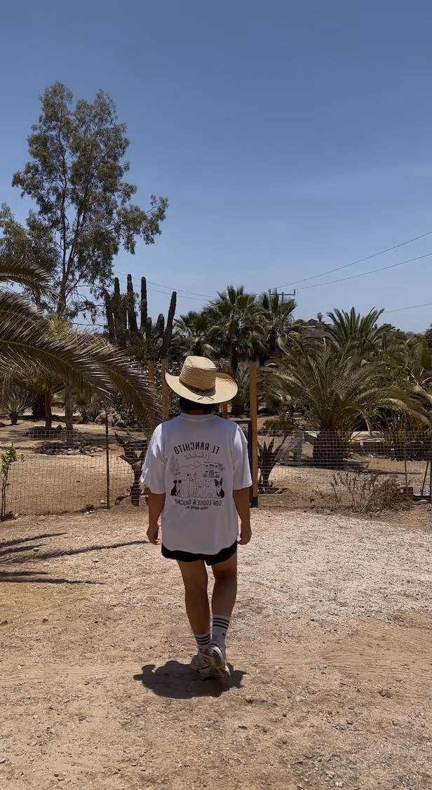 What makes El Ranchito Wanderlust different from other dog daycares?